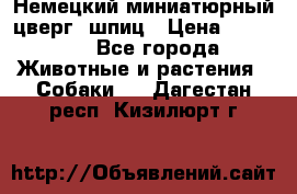 Немецкий миниатюрный(цверг) шпиц › Цена ­ 50 000 - Все города Животные и растения » Собаки   . Дагестан респ.,Кизилюрт г.